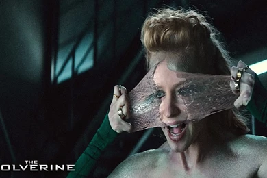 The Wolverine Wallpapers 1920x1080 (18)