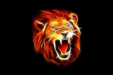 Fire Face Of A Lion, Black Backgrounds Wallpapers And Images ...