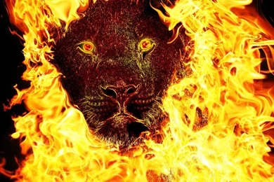 Fire Lion By Crescentmoon19 On DeviantArt