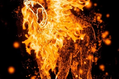 Lion's Roar~ Fire Manipulation