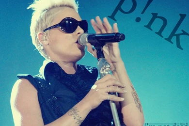 P!nk Wallpapers   Pink Wallpapers (29387731)   Fanpop