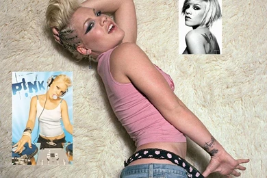 P!nk   Pink Wallpapers (3326201)   Fanpop
