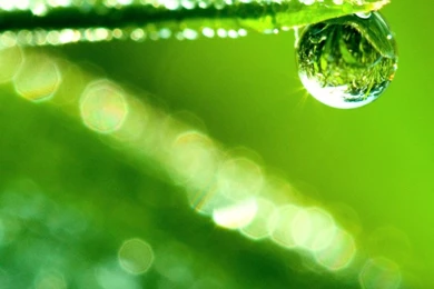 Water Drop Reflection, Macro HD Desktop Wallpapers : High ...