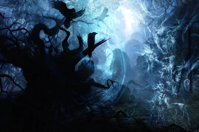 Pink Wallpapers HD Backgrounds