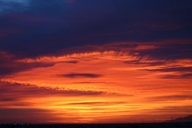 Macbook 15" Retina Wallpapers: Delicious King Cake Fresh Christmas ...