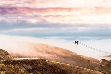 The Best Wallpapers Of The Year