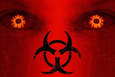 Editorial: Isn't It About Time For 28 Months Later?