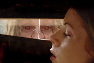 28 Weeks Later Computer Wallpapers, Desktop Backgrounds ...