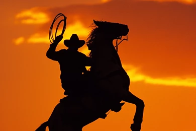 Country Cowboy With Sunset Backgrounds   Bing Images