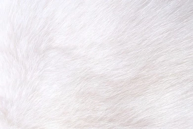 White Marble Galaxy iPhone Wallpapers