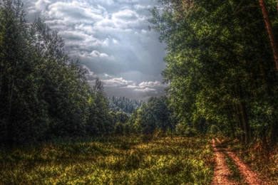 Surreal, Forest, 1920x1080 HD Wallpapers And FREE Stock Photo