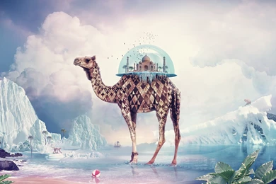 Taj Mahal Camels Digital Art Surreal Wallpapers