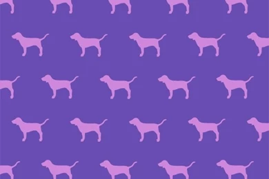 Vs Pink Wallpapers On Pinterest