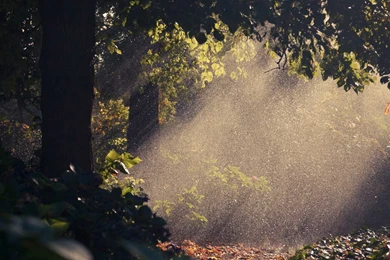 Summer Rain Wallpapers   Nature Wallpapers