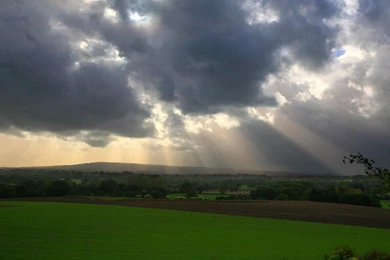 Nature Rain Wallpapers 162203