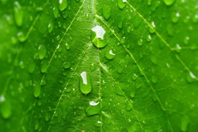 50 Beautiful Rain Wallpapers For Your Desktop   Part 2