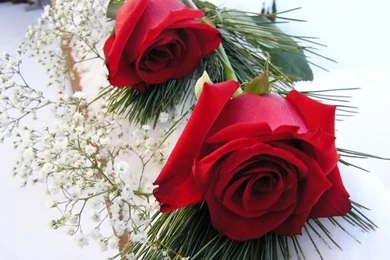 Glitter Pics Of Roses