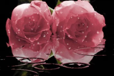 Flowers Backgrounds, Textures, Wallpapers And Background Images