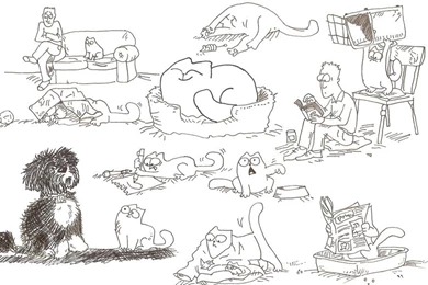 Simon's Cat Part 1 By Anniiba On DeviantArt