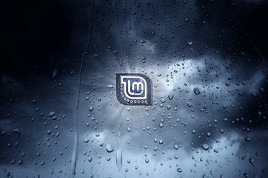 Linux Mint