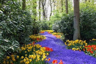 Landscapes, Nature, Trees, Flowers :: Wallpapers