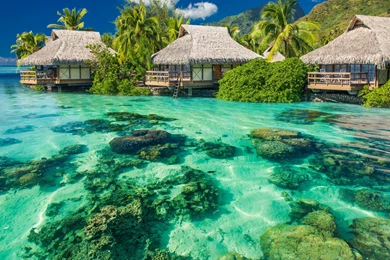 Summer Beach Paradise Wallpaper Free Desktop