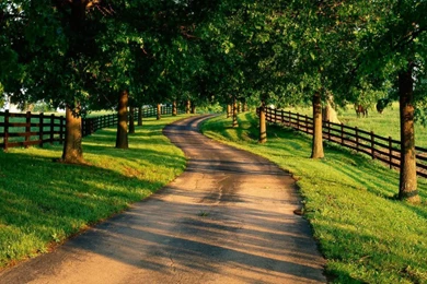 High Quality Summer Desktop Wallpapers 8   HD Wallpapers N