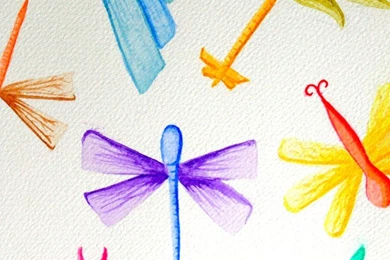 Dragonfly Wallpapers By Oxlunaxo On DeviantArt