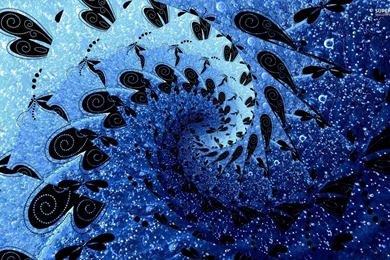 Dragonfly spiral 26987 1920x1200.jpg