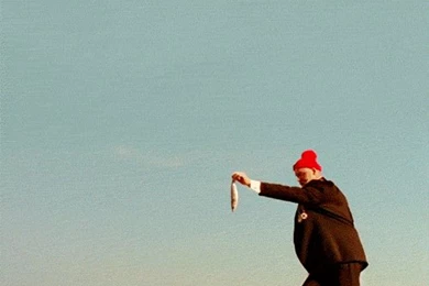 Anigif_enhanced buzz 28265 1409957741 27.gif