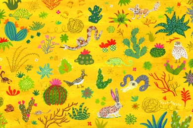 The Desktop Wallpapers Project