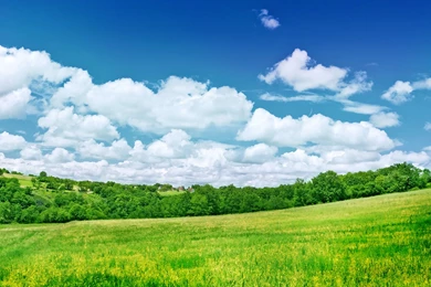 Desktop Background.jpg