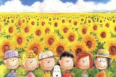 Peanuts In Sunflower Meadow   Peanuts Wallpapers (6273371)   Fanpop