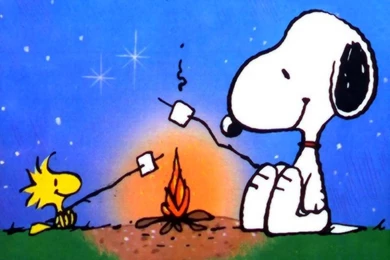 Peanuts   Peanuts Photo (9275294)   Fanpop