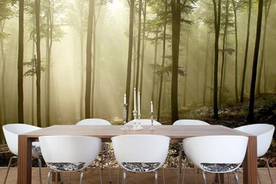 Scenic Wall Murals And The Real You   Wallpapers Mural Ideas