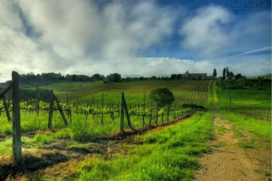 Scenic Wall Murals   Wallpapers Mural Ideas