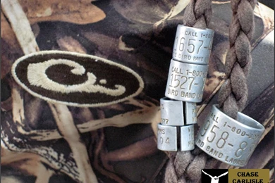 Jestingstock.com Drake Waterfowl Wallpapers