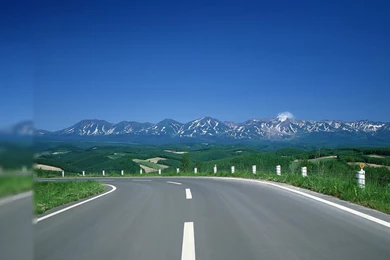 Funny Photo Wallpapers 20539 HD Wallpapers