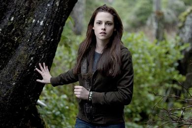 Movies Quality Hd Twilight Newmoon Backgrounds Picture   Free High ...