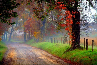 HD Morning Wallpapers