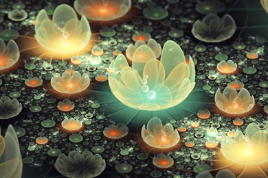 Light Flowers 3d Hd Wallpapers