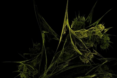 Pin Weed Hd Wallpapers 3