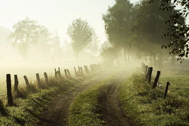 Misty HD Wallpapers   HD Wallpaper Backgrounds Of Your Choice