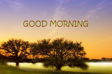 Rocking Good Morning Sun Hd Wallpapers For Facebook Cover