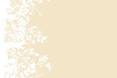 Timorous Beasties Wallcoverings   Branch Out Hand Print