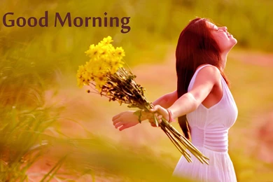 Good Morning Quotes HD Wallpapers