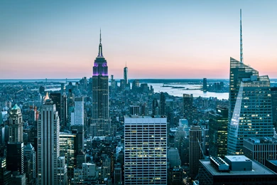 Pigeon Bird New York Buildings Skyscrapers Wallpapers