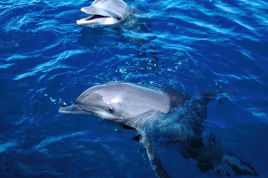 Best High Resolution Wallpapers   Widescreen HD Wallpapers