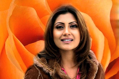 Desktop Wallpapers » Rimi Sen Backgrounds (Bollywood Celebrities ...
