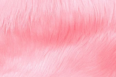 Is That Picture Blurry?, Pink Fur